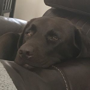 Meet your Posher, Brandon